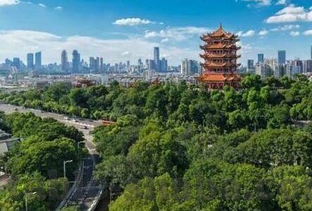 万人水果机能刷刷金币-万人水果机能刷金币，一场意外的网络狂欢